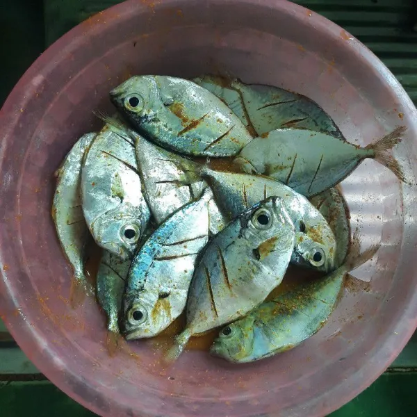 Marinasi ikan putihan dengan bumbu diamkan -+15 menit.