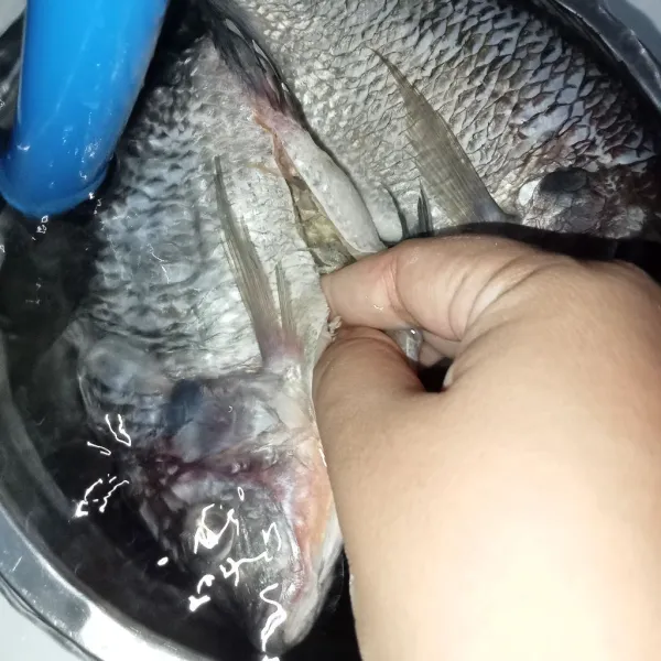 Cuci bersih ikan di bawah air mengalir.