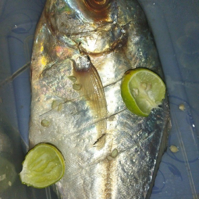 Langkah 1