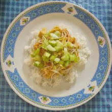 Siapkan nasi kemudian tambahkan tahu, tempe, toge dan timun di atasnya.