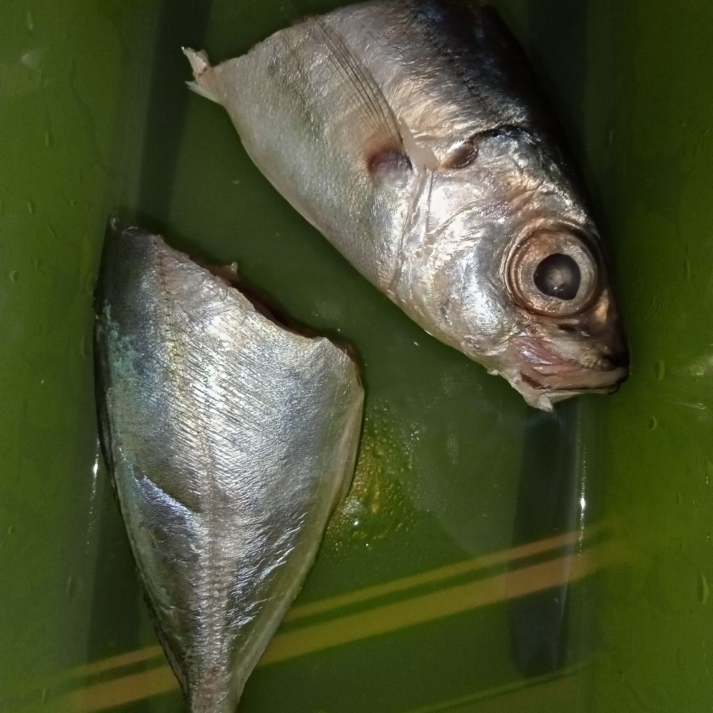 Langkah 1