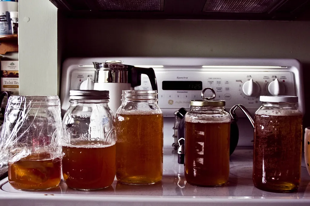 10 Manfaat Kombucha Bagi Kesehatan dan Cara Membuatnya di Rumah