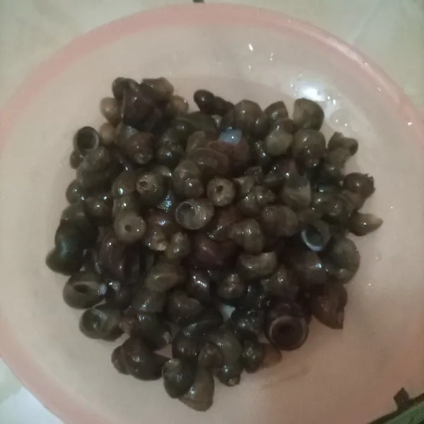 Siapkan liling/tutut yang sudah dibersihkan.