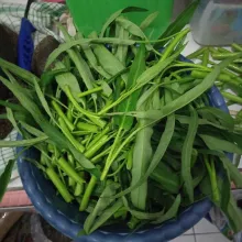 Siangi kangkung.