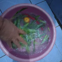 Cuci bersih kangkung, tomat dan cabe.