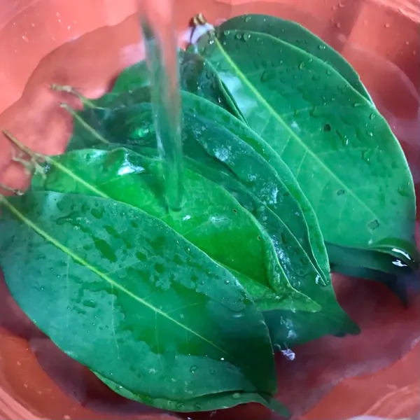 Cuci bersih daun salam dengan air mengalir.