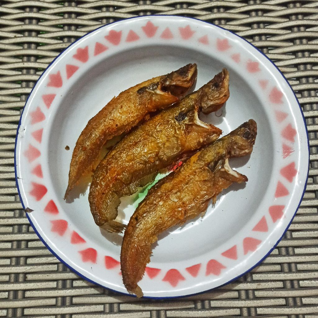 Langkah 5