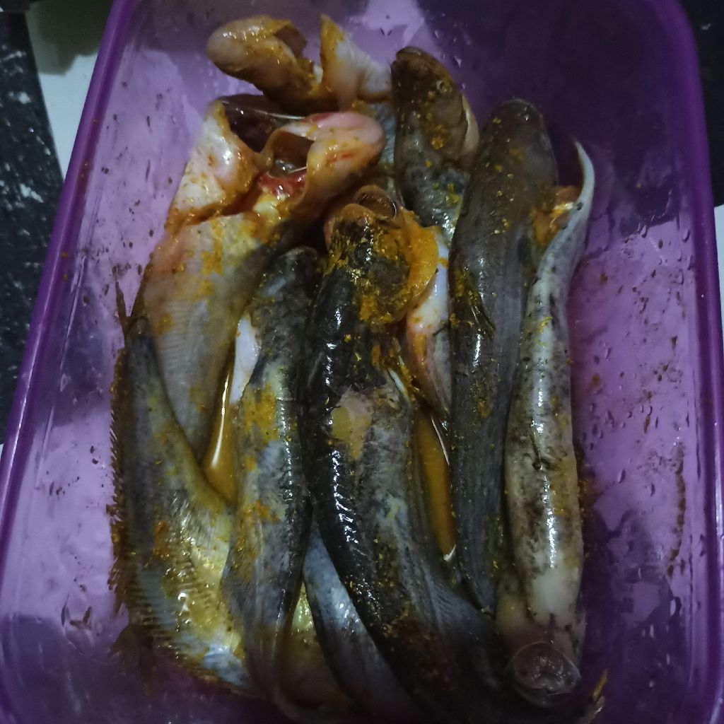Langkah 3