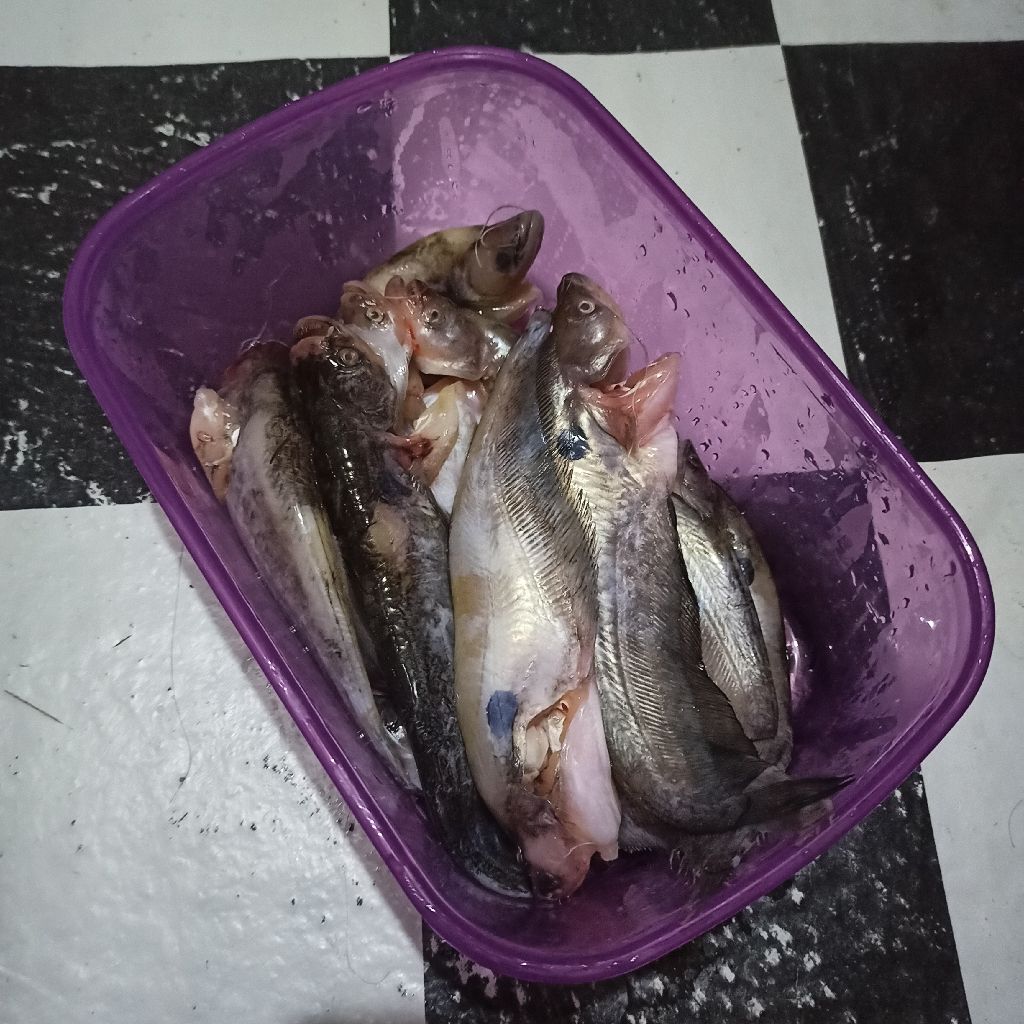 Langkah 1