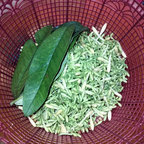 Cuci bersih bunga pepaya dan daun jambu biji dengan 1 sendok teh garam kasar.