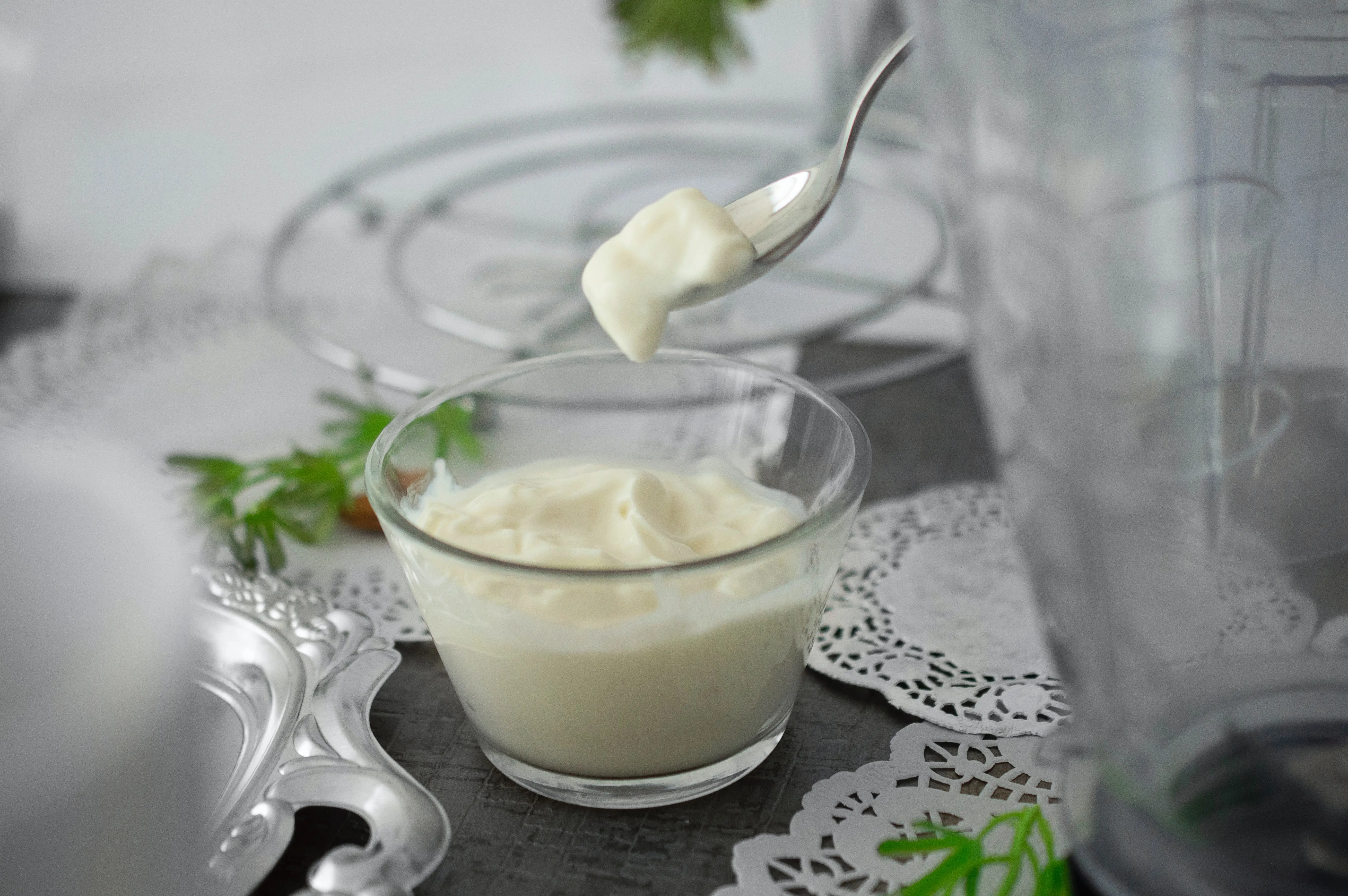 Secangkir yogurt greek plain