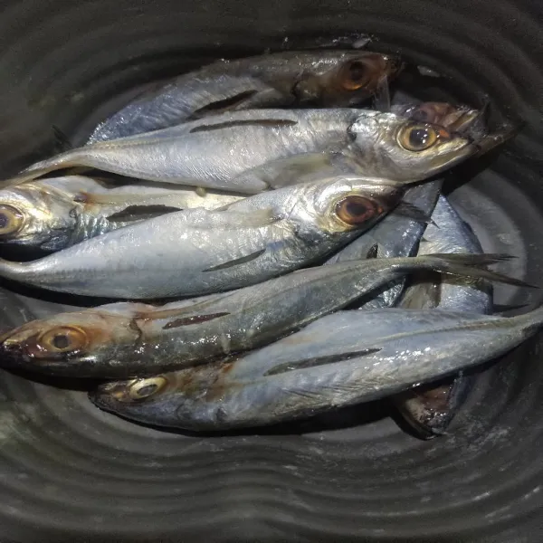 Bersihkan ikan kembung lalu beri air jeruk nipis, diamkan bebrapa menit, lalu bilas. Kemudian marinasi kembali dengan bumbu, diamkan hingga meresap.