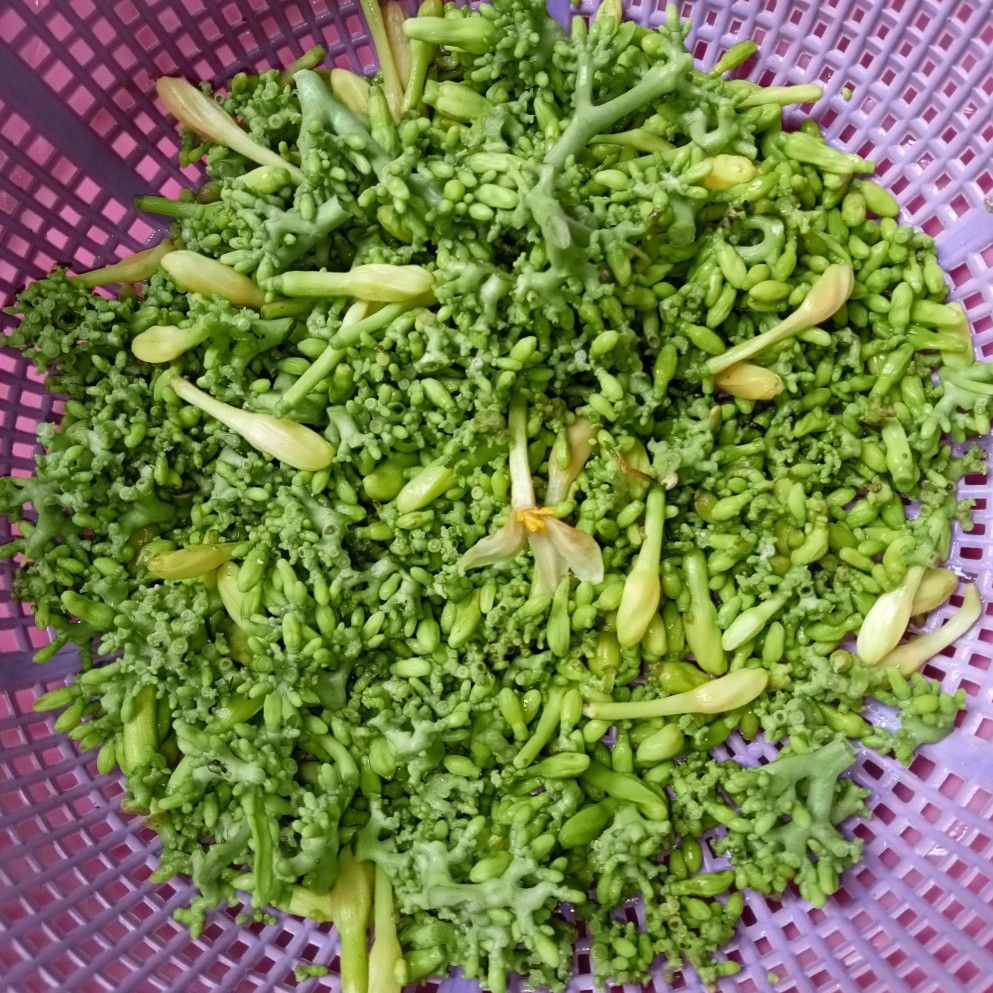 Langkah 1