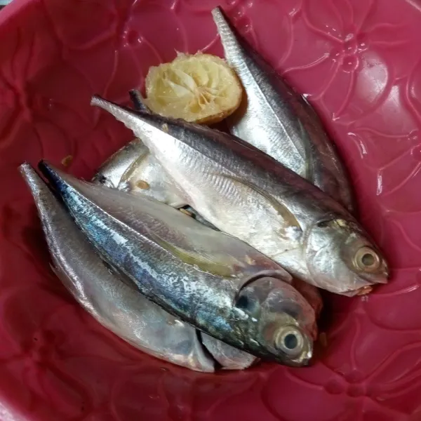 Kucuri ikan dengan jeruk nipis.