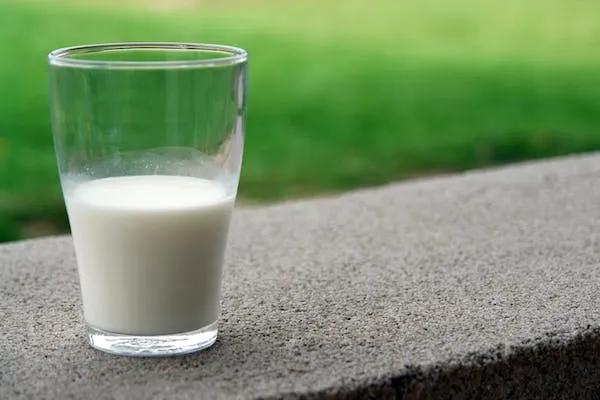 segelas susu tinggi protein