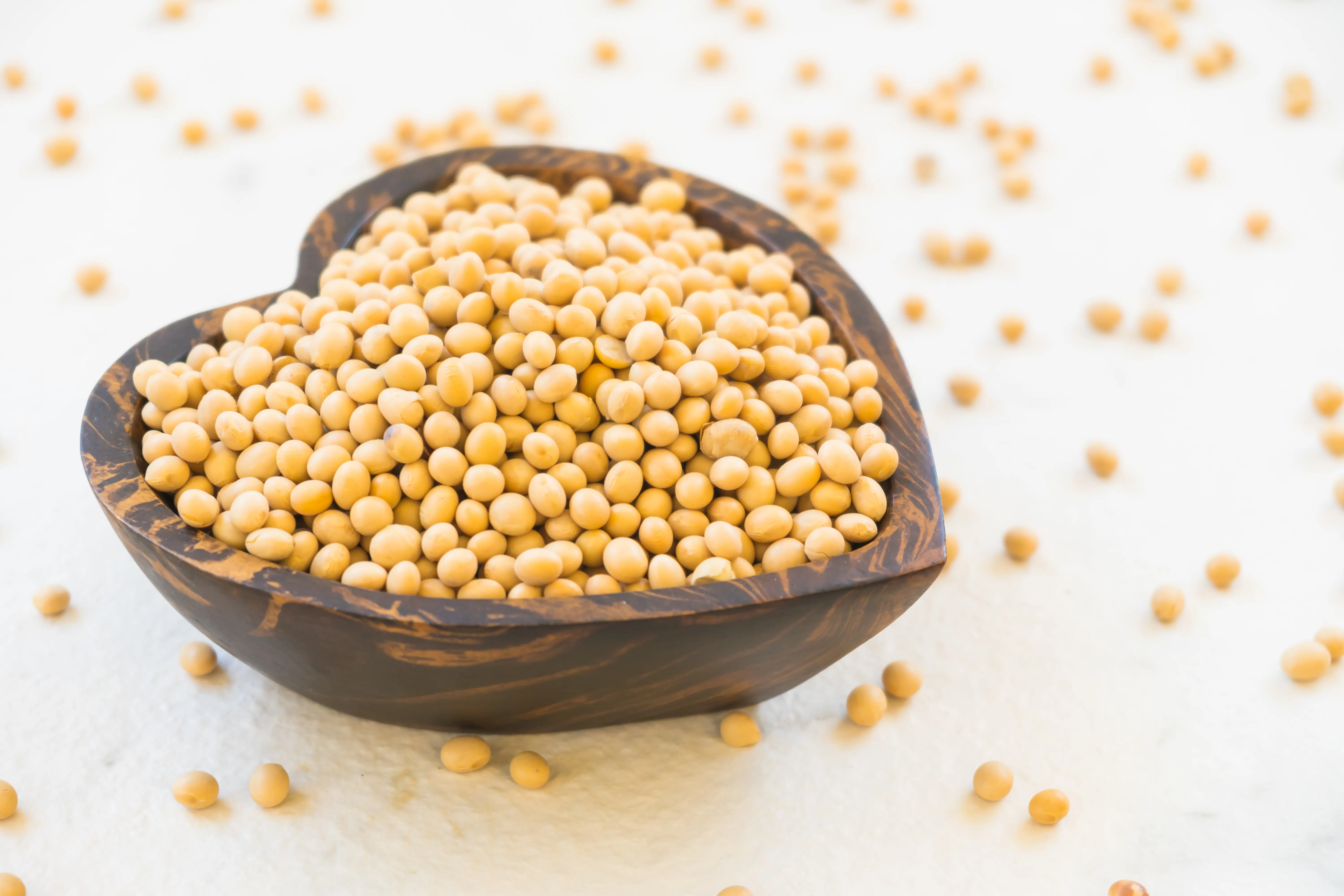 8 Manfaat Kacang Kedelai dan Cara Mengolahnya dengan Tepat
