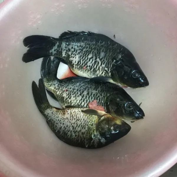 Siapkan ikan mas, bersihkan.