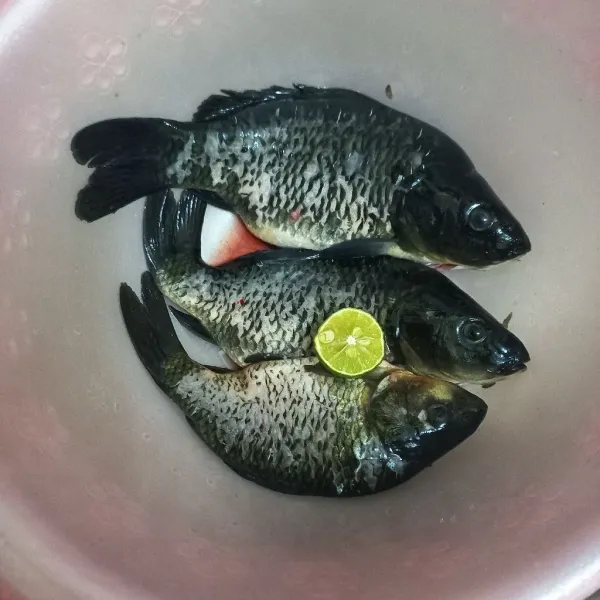 Kucuri dengan jeruk, lalu bilas dan lumuri ikan dengan bumbu marinasi, diamkan minimal 30 menit.