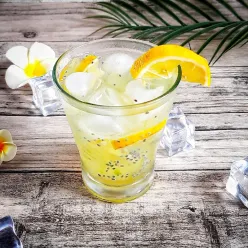 Aloe Lemon Soda