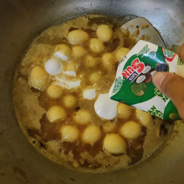 Masukkan santan, aduk rata.