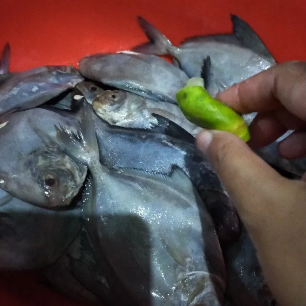 Cuci bersih ikan dorang, kemudian perasi dengan jeruk nipis.
