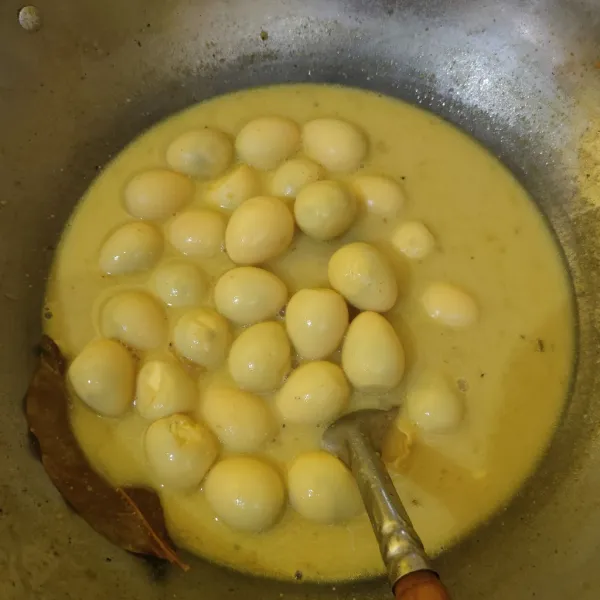 Masak hingga mendidih kembali sambil diaduk agar santan tidak pecah, matikan api.