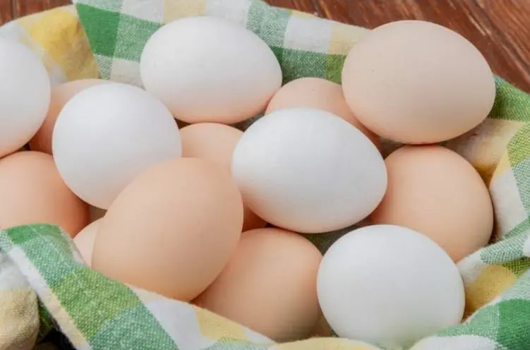 7 Manfaat Telur Ayam Kampung, Ciri, dan Bedanya dengan Ayam Negri