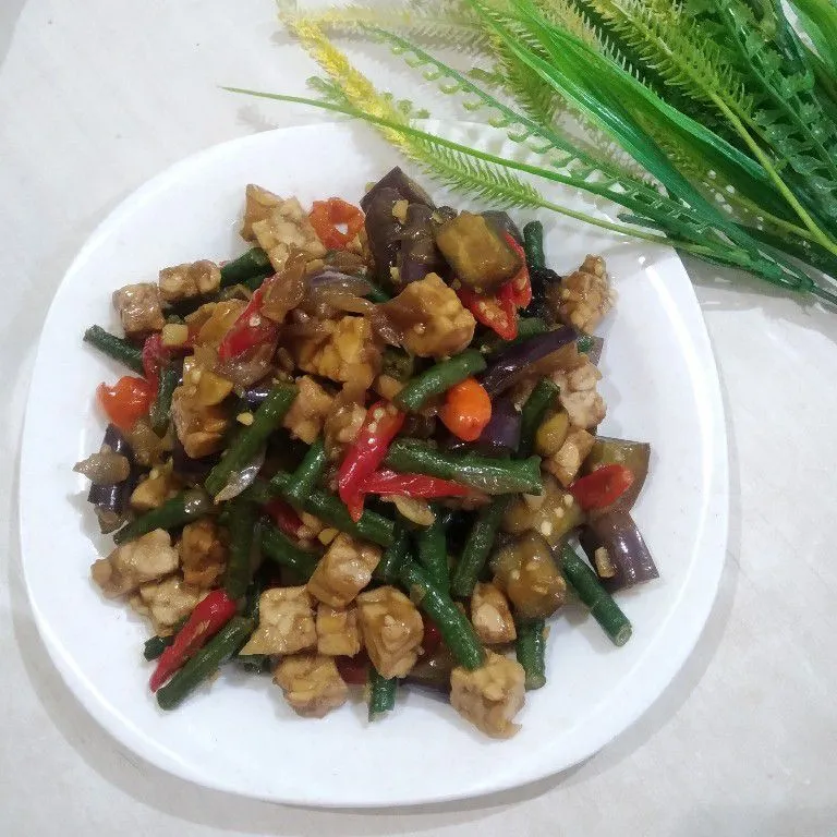 Tumis Kacang Panjang Terong Tempe