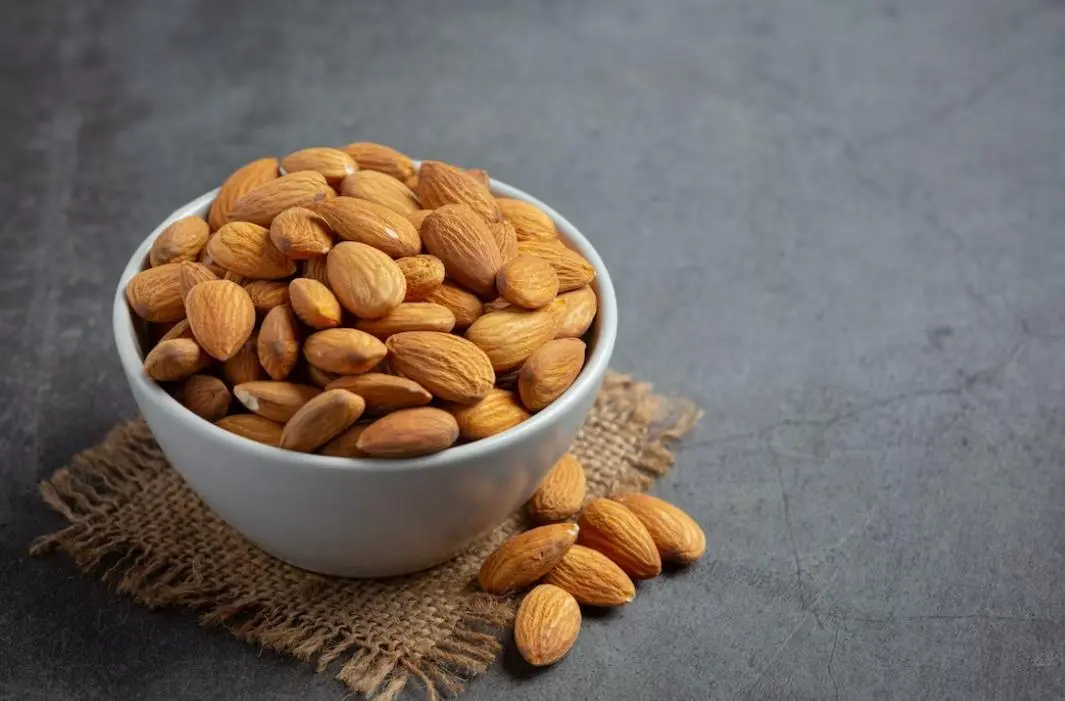 ilustrasi kacang almond