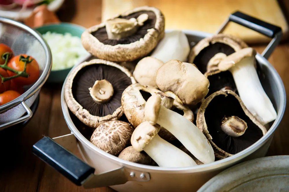 jamur portobelo yang bertudung lebar