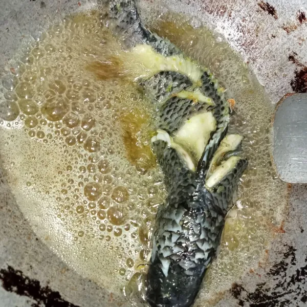 Panaskan minyak kemudian kecilkan api dan masukkan ikan, posisikan ikan dengan cara berdiri sambil siram siram ikan dengan minyak supaya ikan matang merata. Balik ikan ketika sudah kering pada bagian bawahnya. Goreng ikan hingga renyah, angkat tiriskan dan sajikan dengan sambal kesukaan.