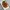 Ayam Popcorn Chili Oil