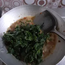 Tuangkan 150 ml air mineral, aduk rata dan masak hingga air mendidih. Masukkan daun pepaya jepang rebus, tambahkan penyedap dan garam halus, aduk rata. Dan masak hingga sayur matang. Sajikan!
