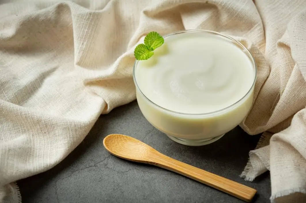 ilustrasi yogurt sebagai salah satu makanan probiotik