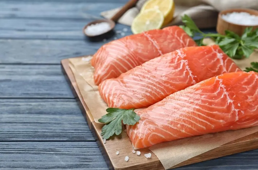 ilustrasi daging ikan salmon