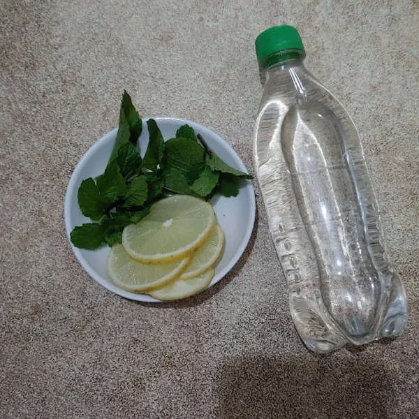 Siapkan semua bahan : daun mint, irisan jeruk lemon dan air soda.