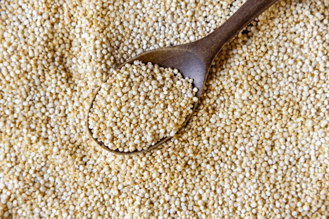 quinoa