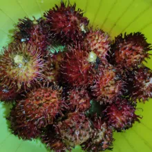 Cuci bersih rambutan.