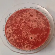 Tunggu uap panas hilang. Baru tuang ke cetakan. Diamkan sampai mengeras, kemudian baru masukkan kulkas.