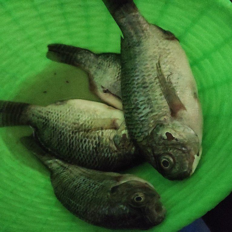Langkah 1