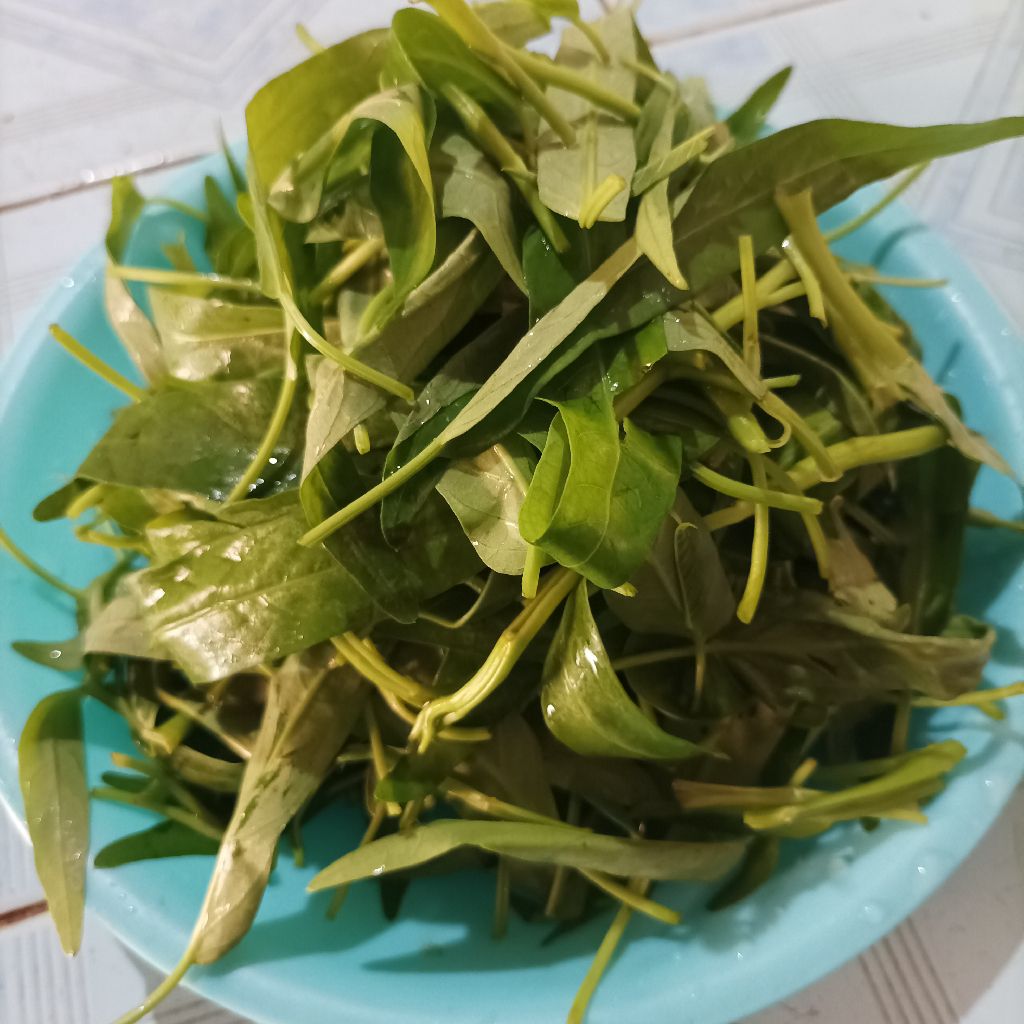 Langkah 1