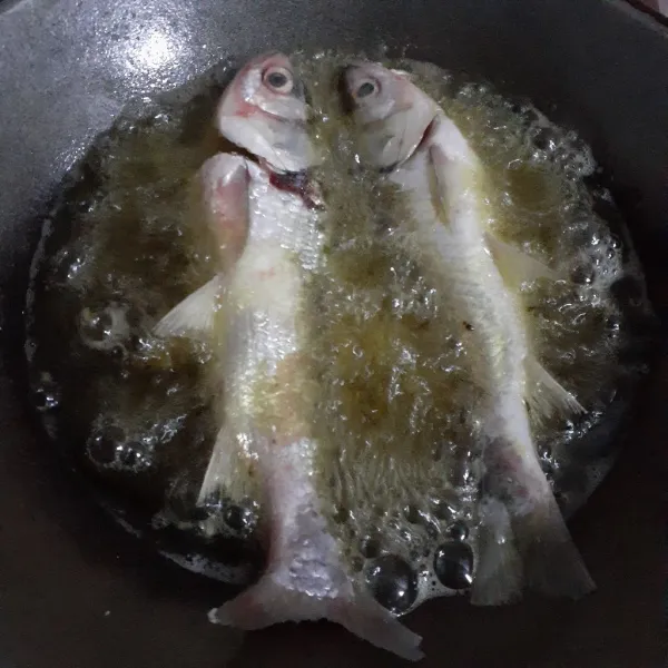 Marinasi ikan dengan 1 sdt garam halus lalu goreng hingga matang, sisihkan.