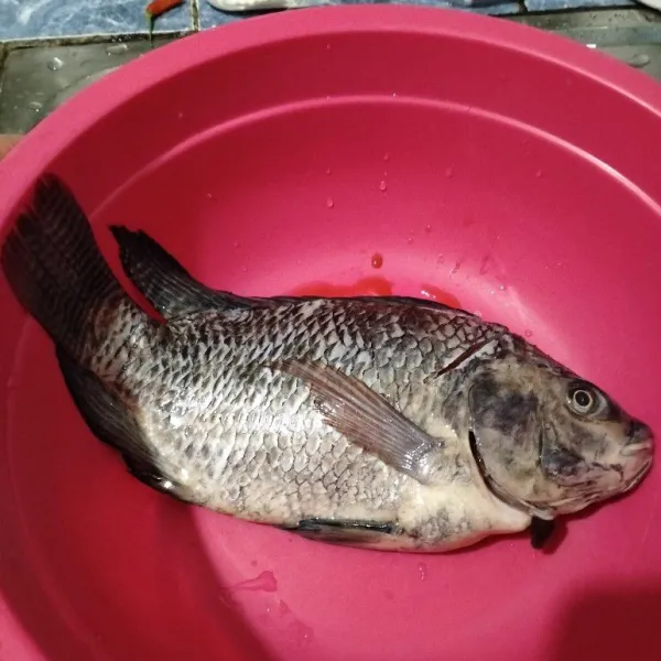 Bersihkan ikan nila, buang sisik dan jeroannya.