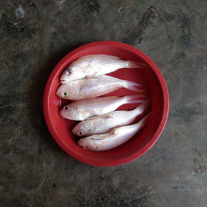 Langkah 1