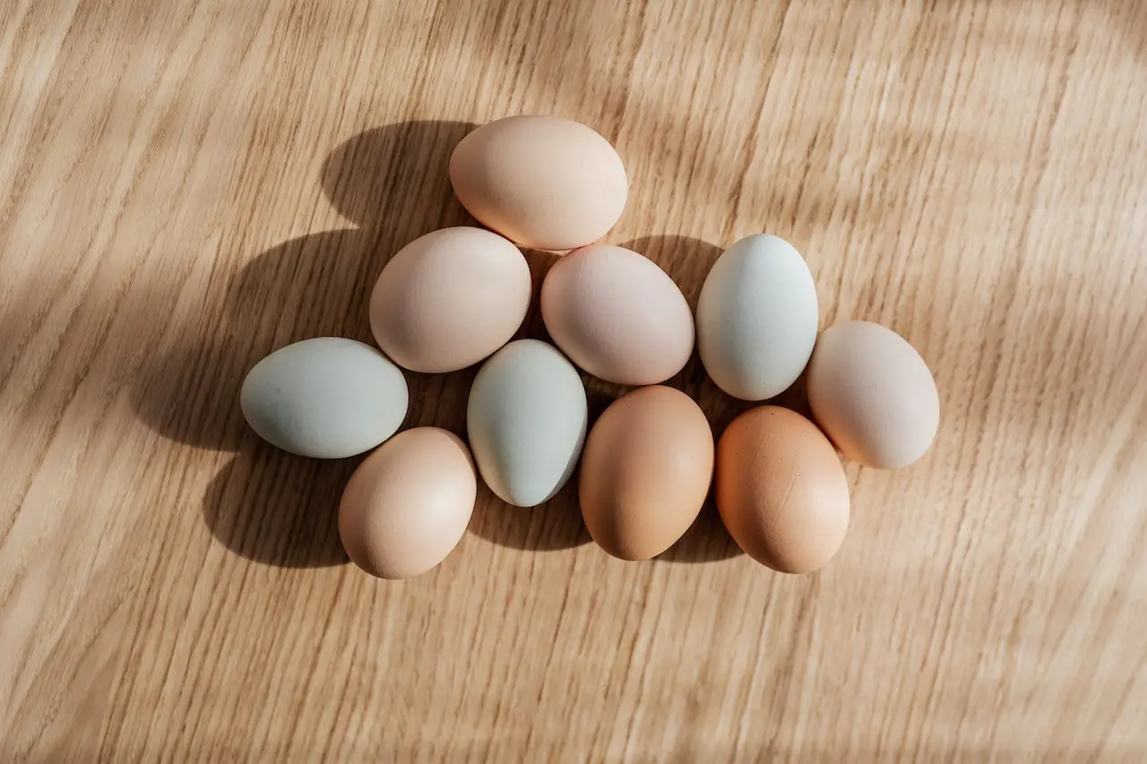 telur makanan yang tinggi protein