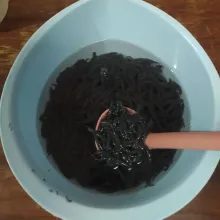 Siap untuk diolah menjadi minuman.