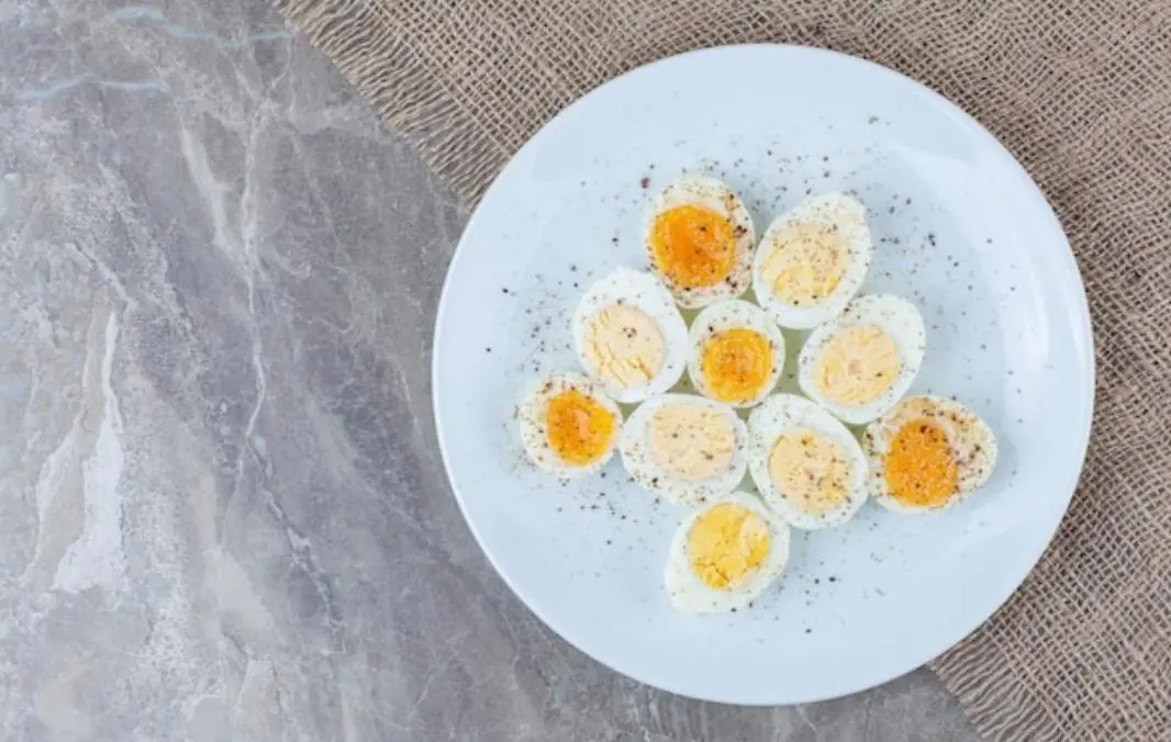 manfaat telur omega 3