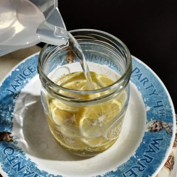 Resep Infused Water Lemon Madu Sederhana Rumahan di Yummy App