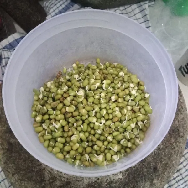 Siapkan kacang hijau yang sudah direndam dengan air mendidih dan didiamkan selama 1 hari atau 2 jam, tujuannya agar kacang tidak keras.