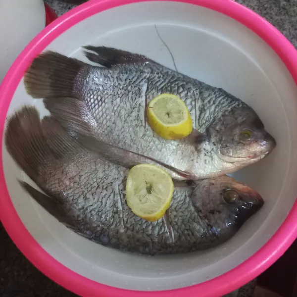 Lumuri ikan gurame dengan irisan jeruk lemon, bilas kembali dan tiriskan.